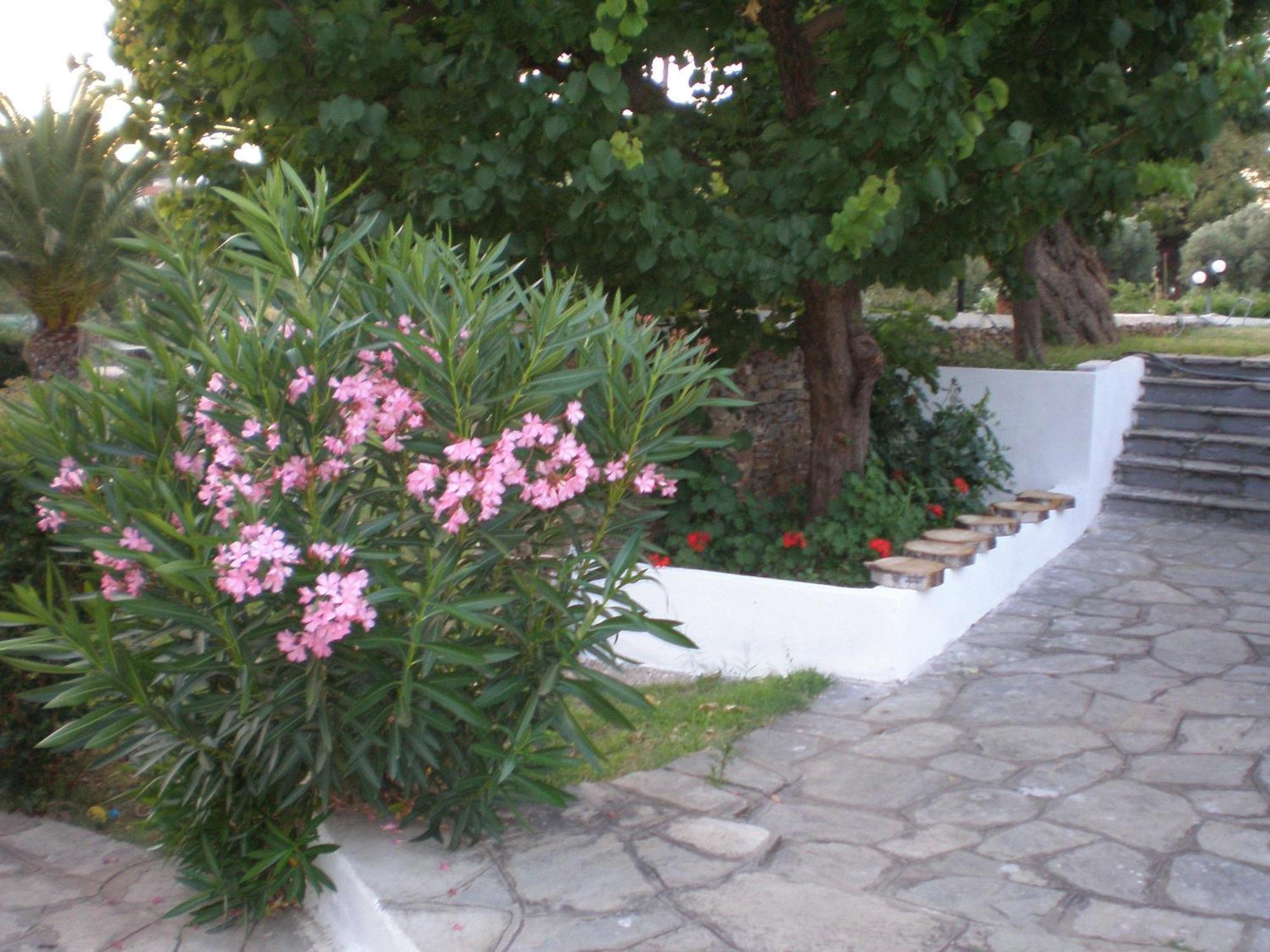 Porto Matina Hotel Metamorfosi  Exterior foto